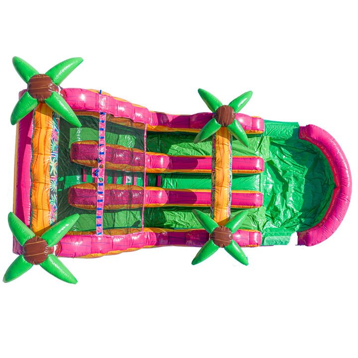 16FT Magenta Dual Lane Slide