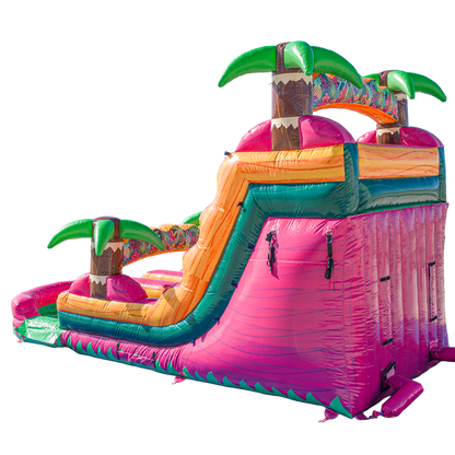 16FT Magenta Dual Lane Slide