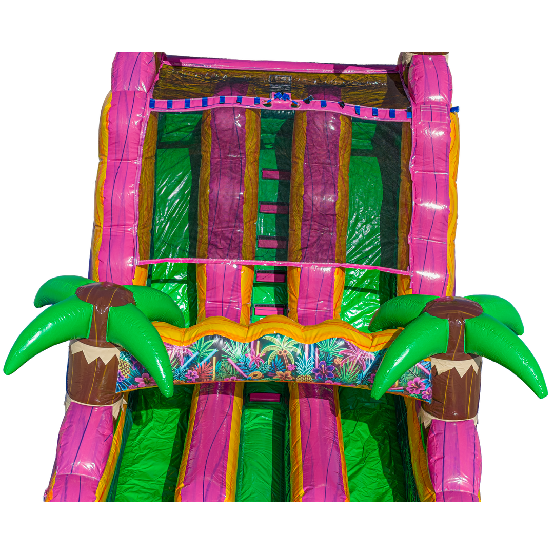 16FT Magenta Dual Lane Slide