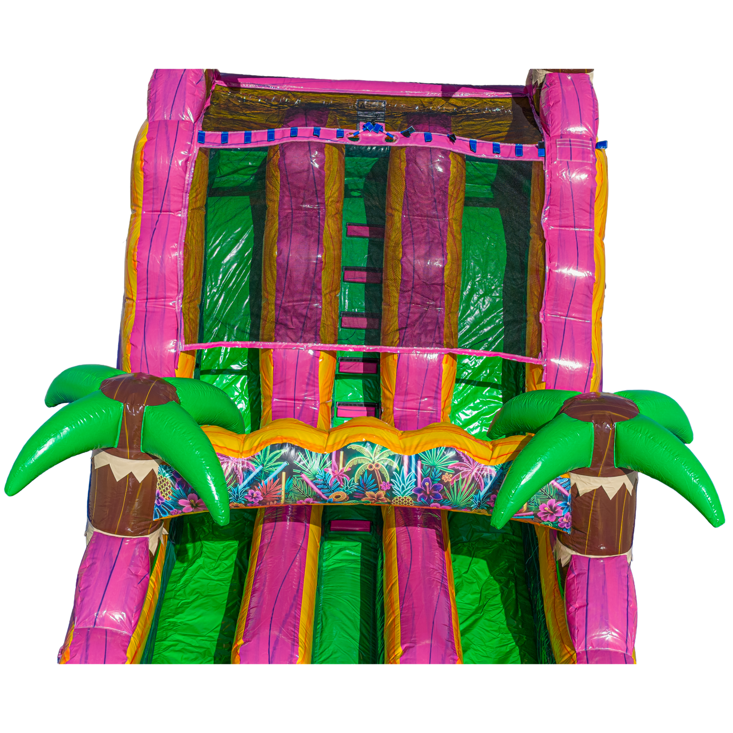 16FT Magenta Dual Lane Slide