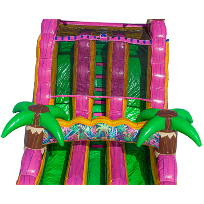 16FT Magenta Dual Lane Slide