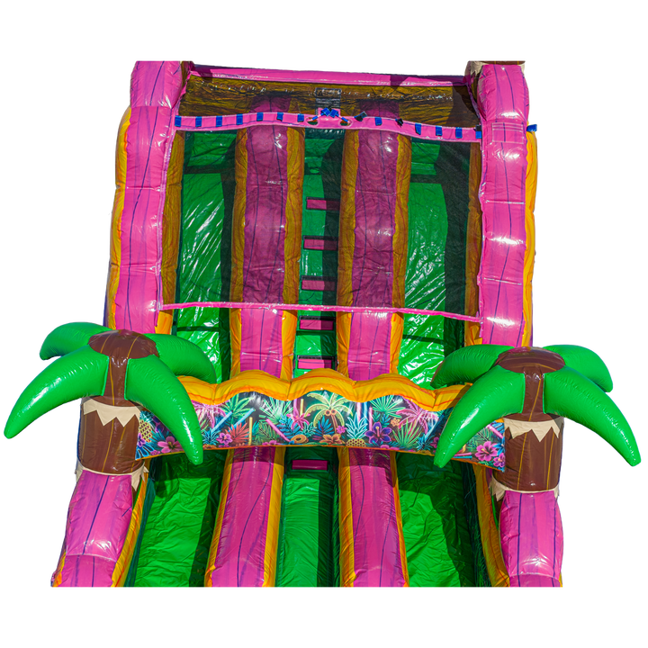 16FT Magenta Dual Lane Slide