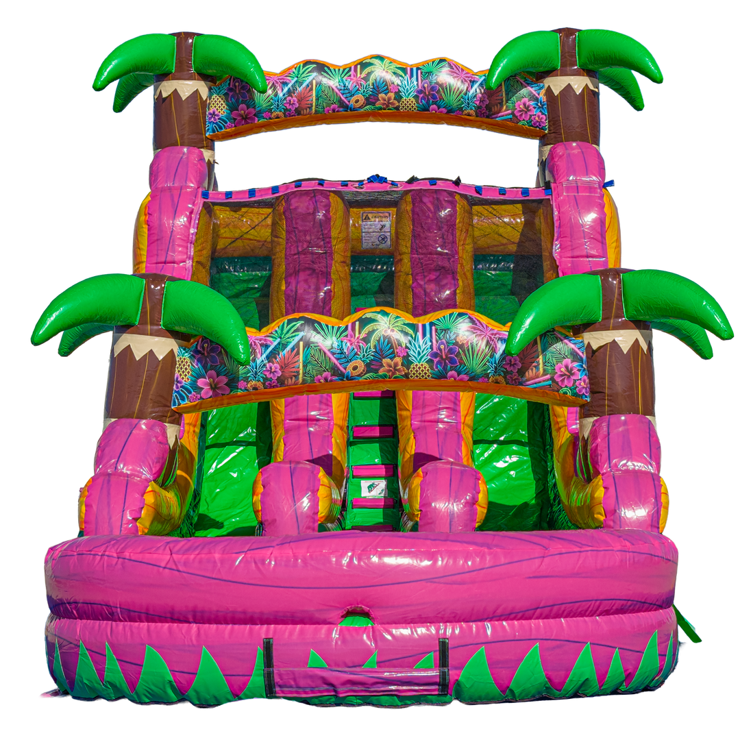 16FT Magenta Dual Lane Slide