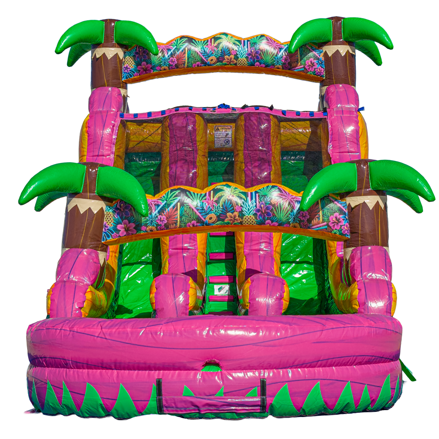 16FT Magenta Dual Lane Slide