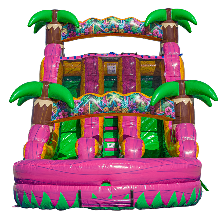 16FT Magenta Dual Lane Slide