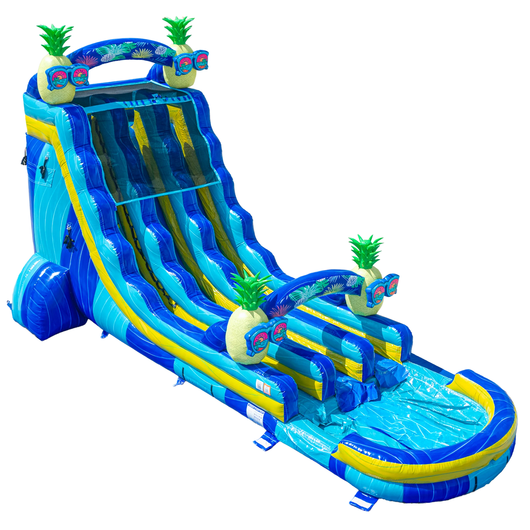 22FT Pineapple Dual Lane Slide