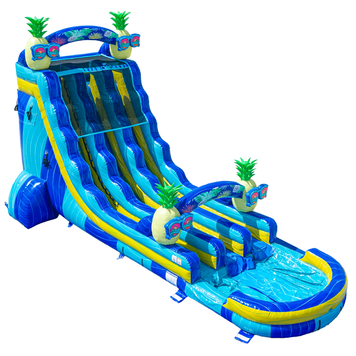 22FT Pineapple Dual Lane Slide