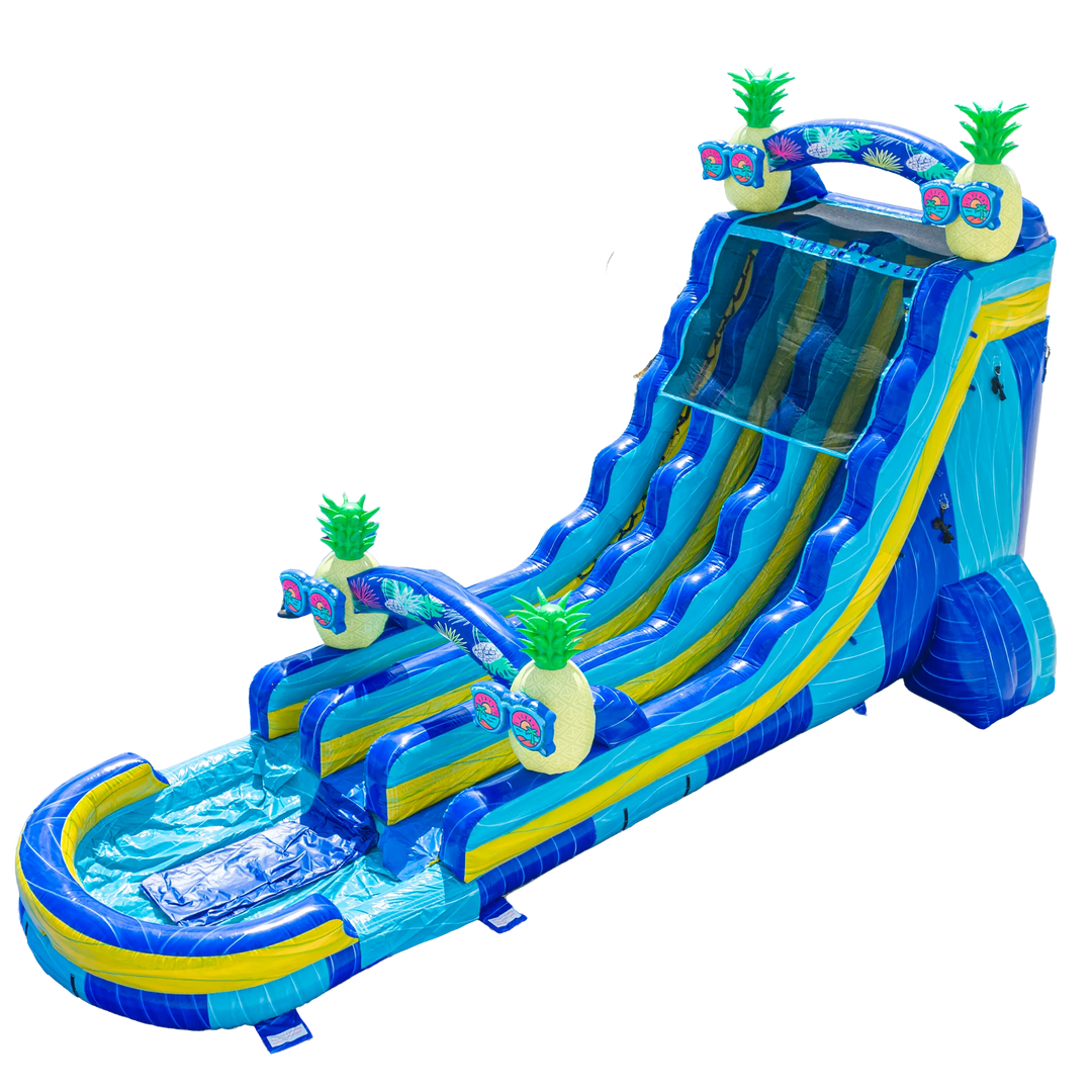 22FT Pineapple Dual Lane Slide