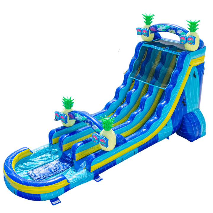22FT Pineapple Dual Lane Slide
