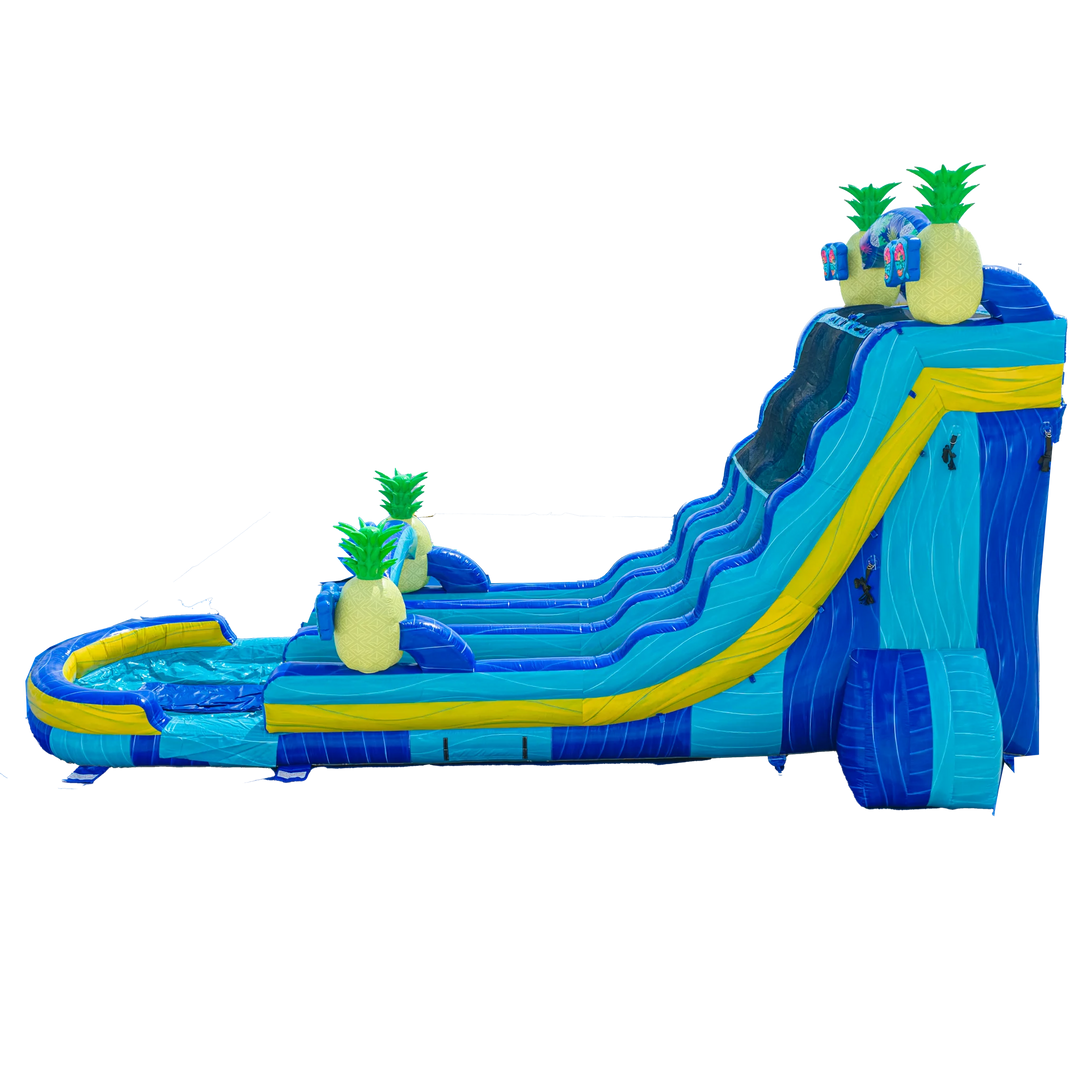 22FT Pineapple Dual Lane Slide