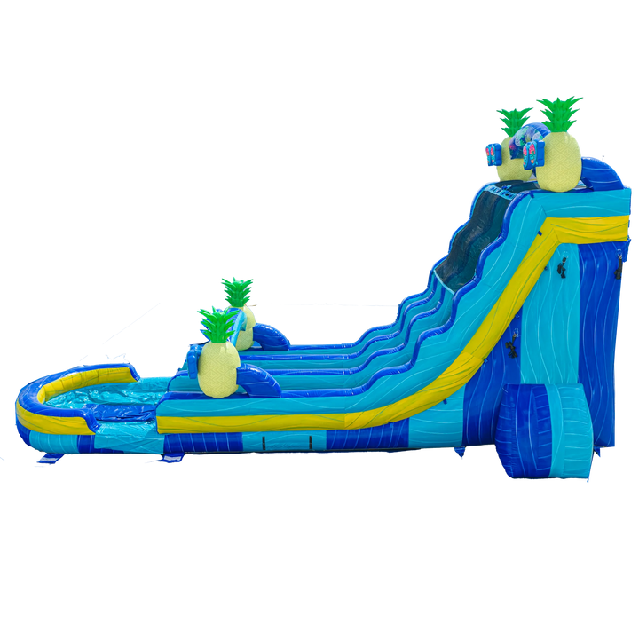 22FT Pineapple Dual Lane Slide