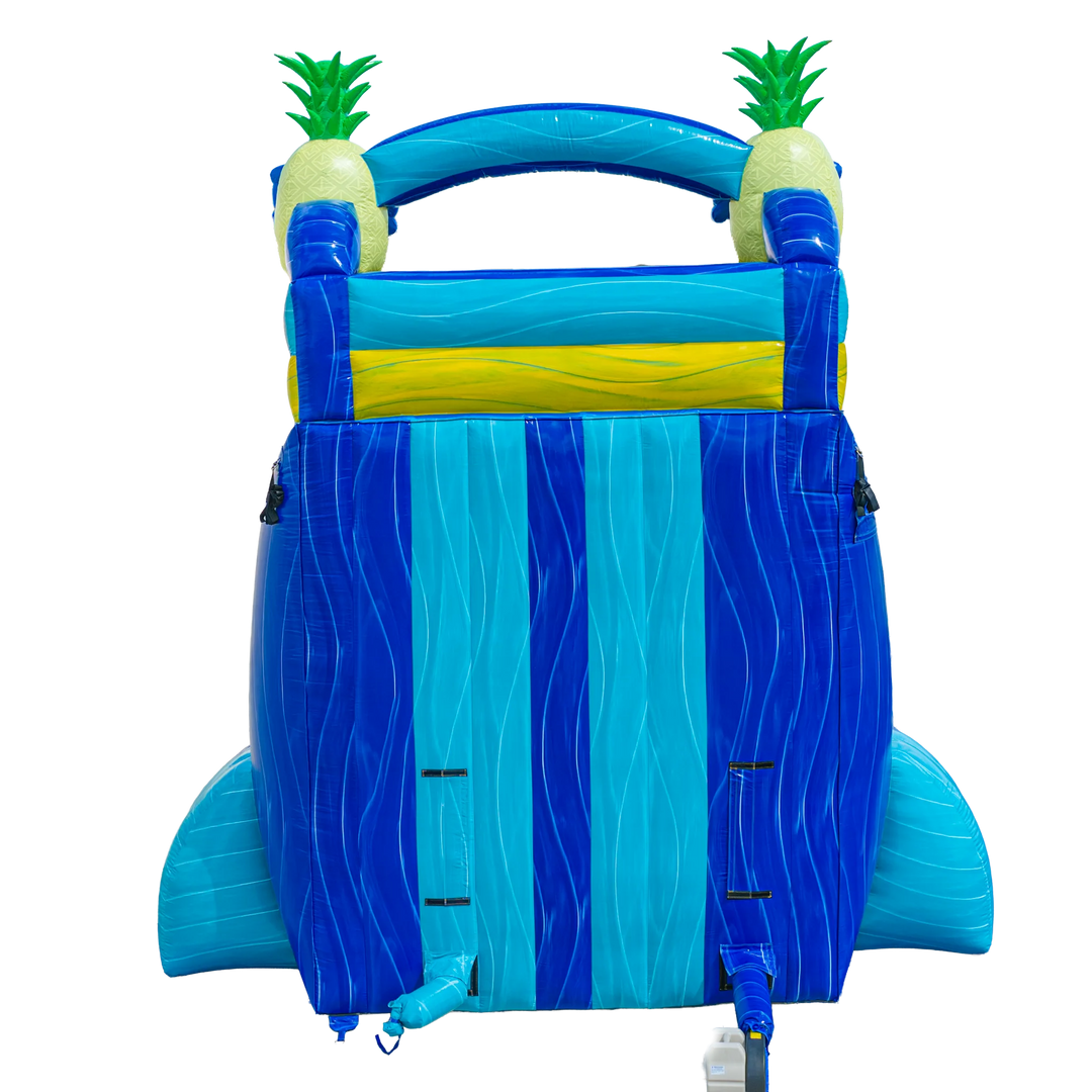 22FT Pineapple Dual Lane Slide