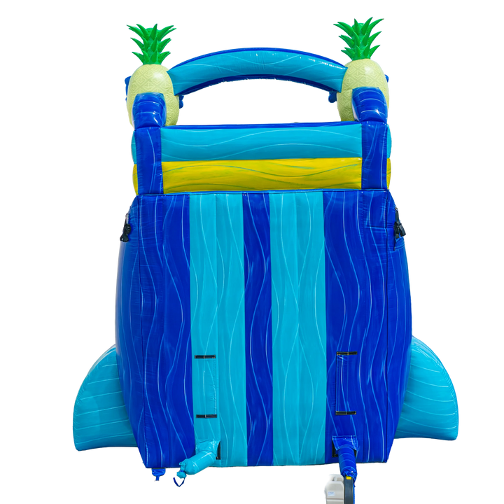 22FT Pineapple Dual Lane Slide