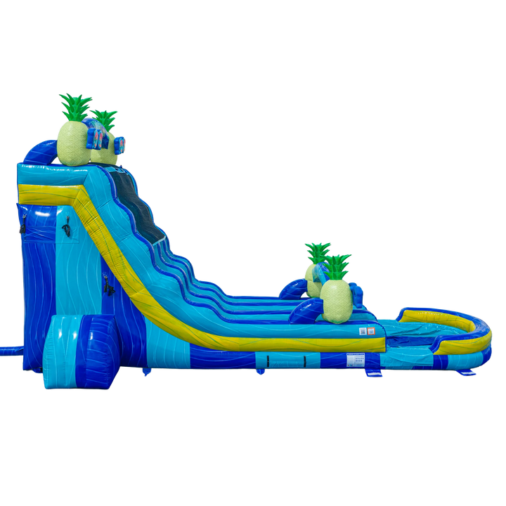 22FT Pineapple Dual Lane Slide