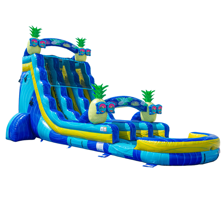 22FT Pineapple Dual Lane Slide