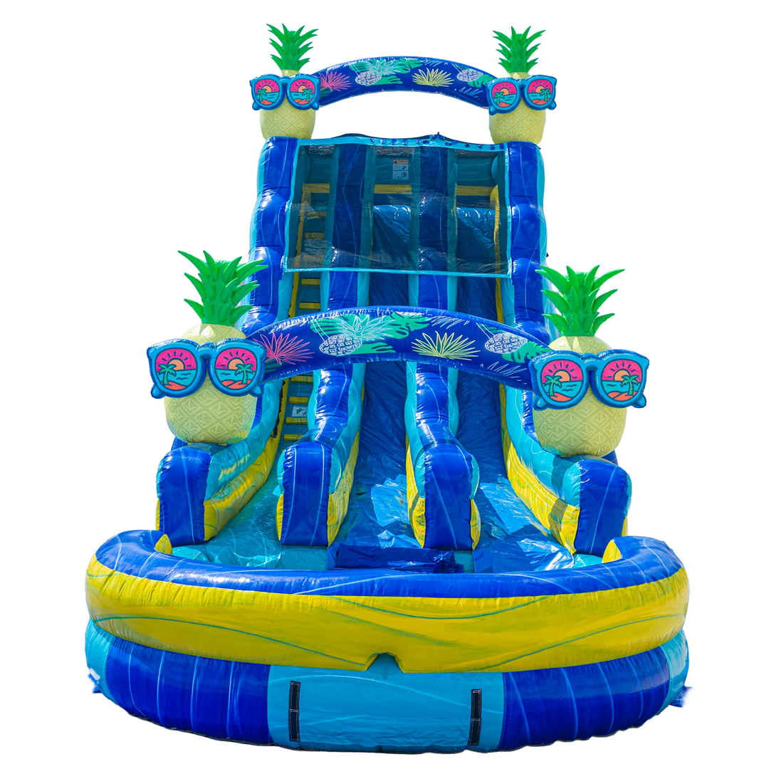 22FT Pineapple Dual Lane Slide