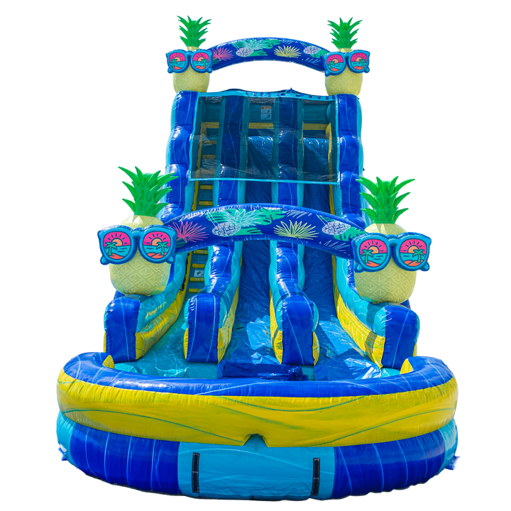 22FT Pineapple Dual Lane Slide
