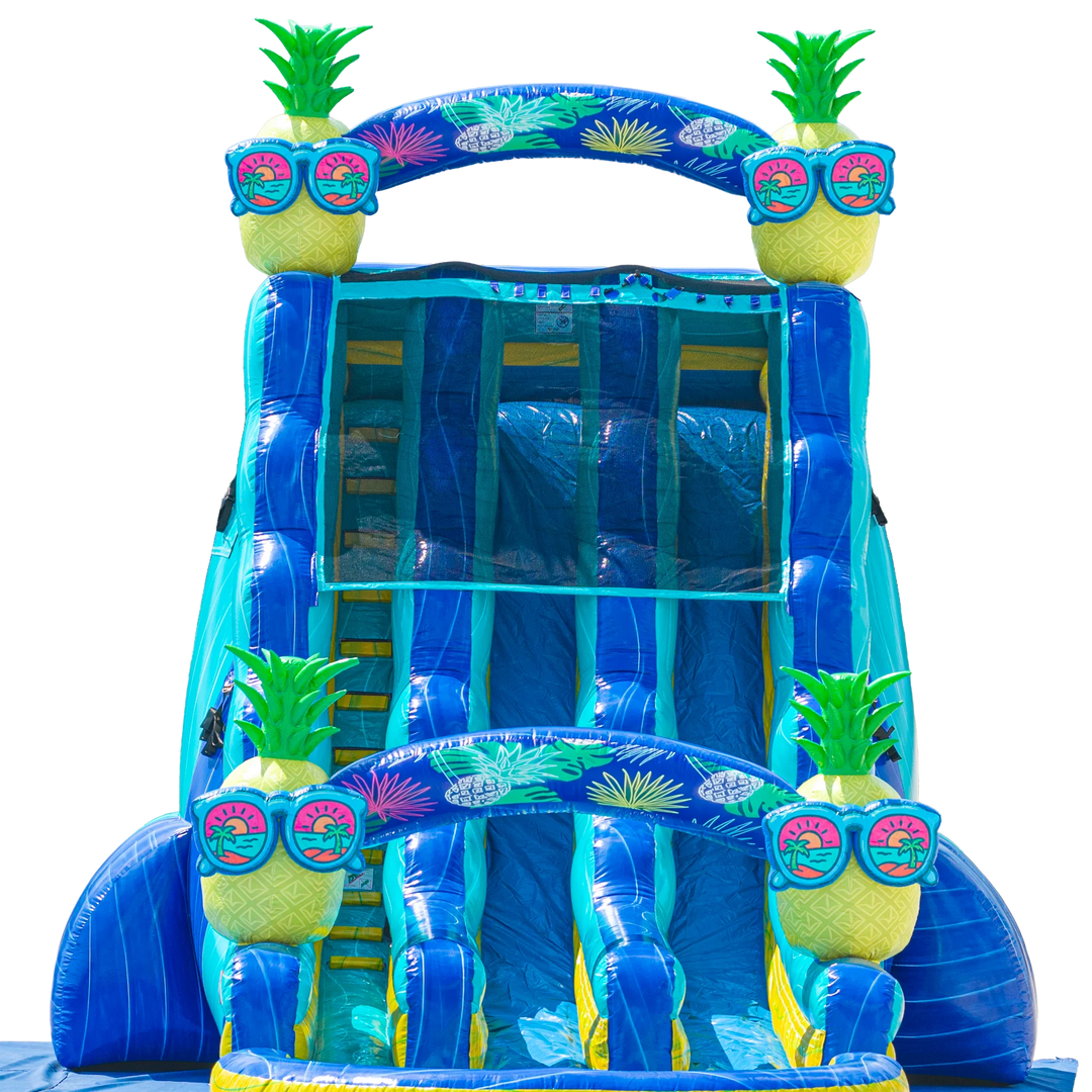 22FT Pineapple Dual Lane Slide