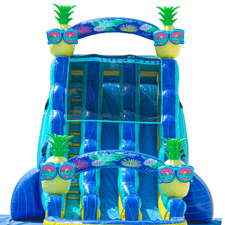 22FT Pineapple Dual Lane Slide