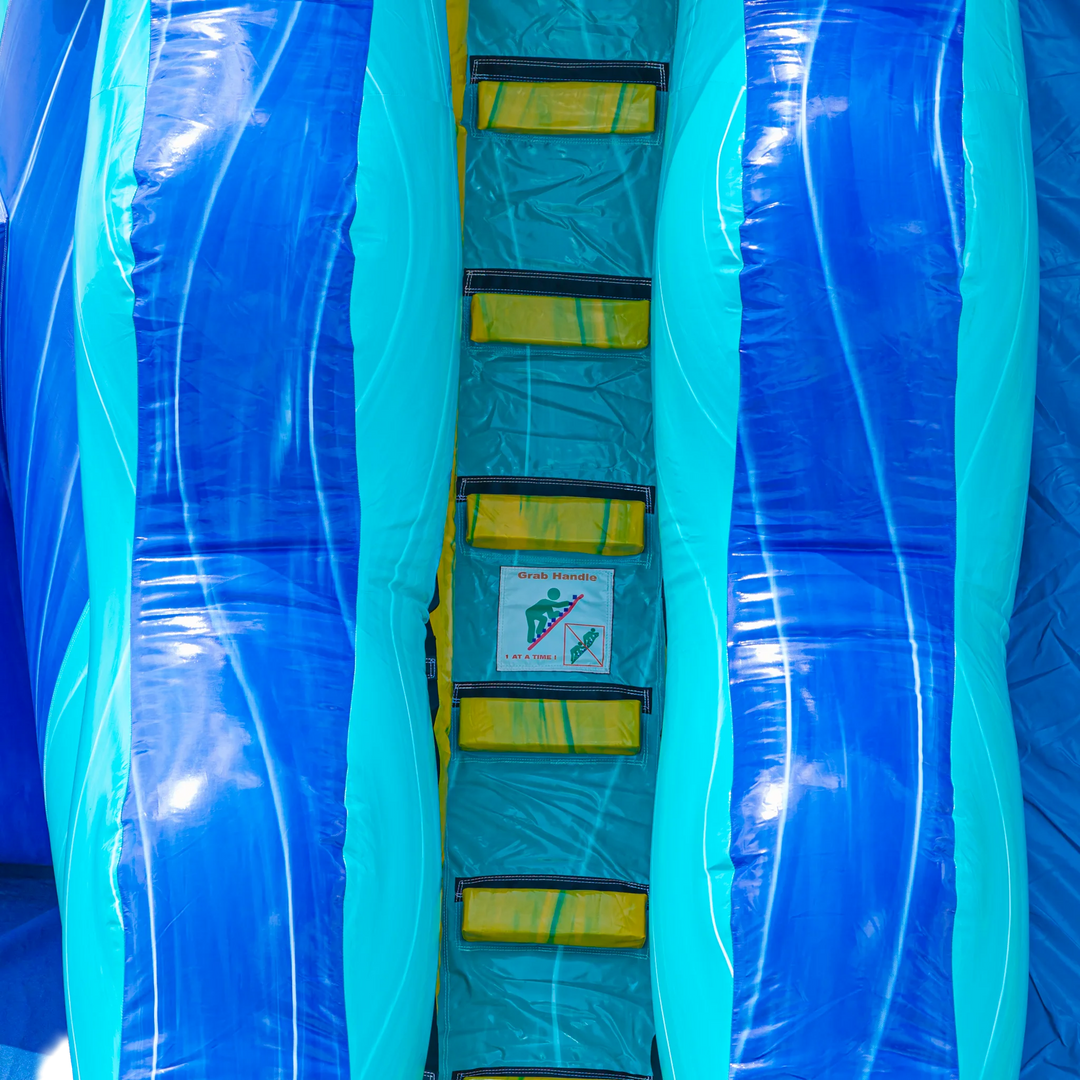 22FT Pineapple Dual Lane Slide