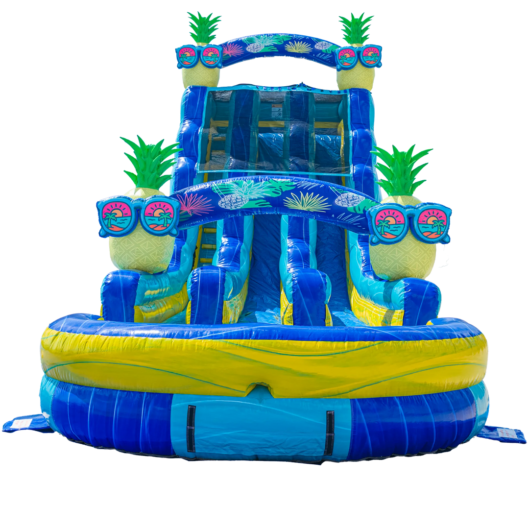 22FT Pineapple Dual Lane Slide