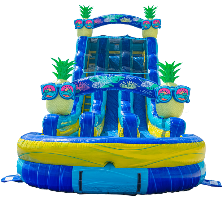 22FT Pineapple Dual Lane Slide