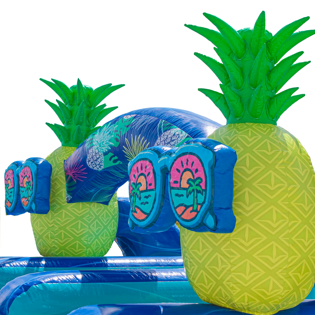 22FT Pineapple Dual Lane Slide
