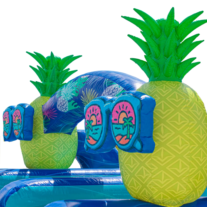 22FT Pineapple Dual Lane Slide