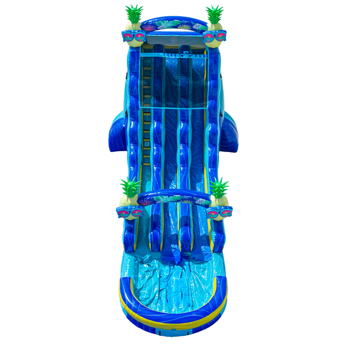 22FT Pineapple Dual Lane Slide