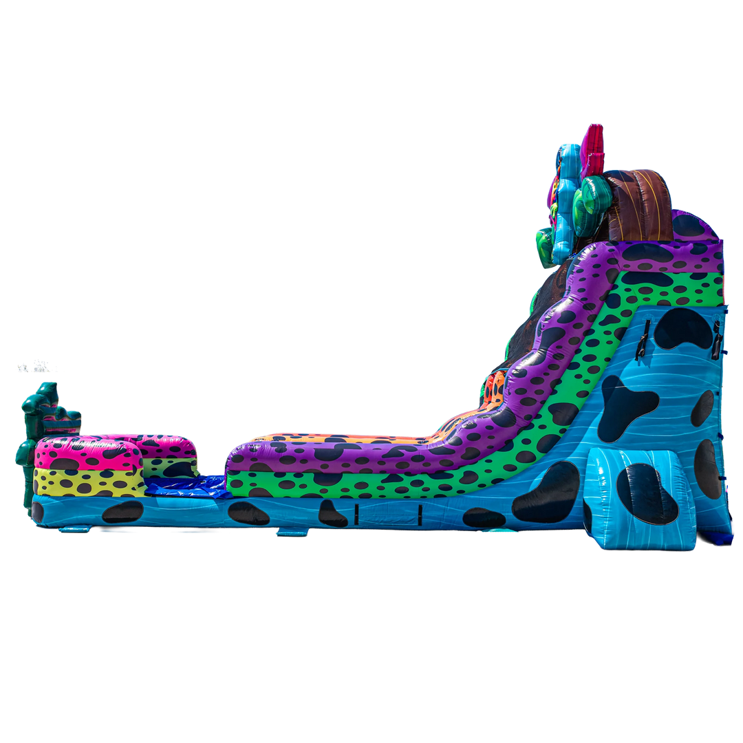 18FT Ribbit Rapids (Dart Frog) Dual Lane Slide