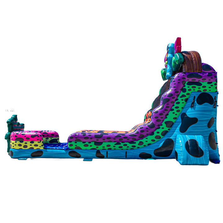 18FT Ribbit Rapids (Dart Frog) Dual Lane Slide