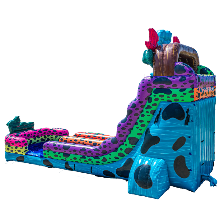 18FT Ribbit Rapids (Dart Frog) Dual Lane Slide