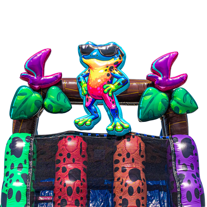 18FT Ribbit Rapids (Dart Frog) Dual Lane Slide