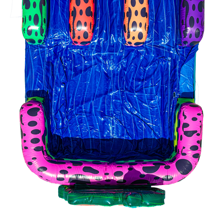 18FT Ribbit Rapids (Dart Frog) Dual Lane Slide