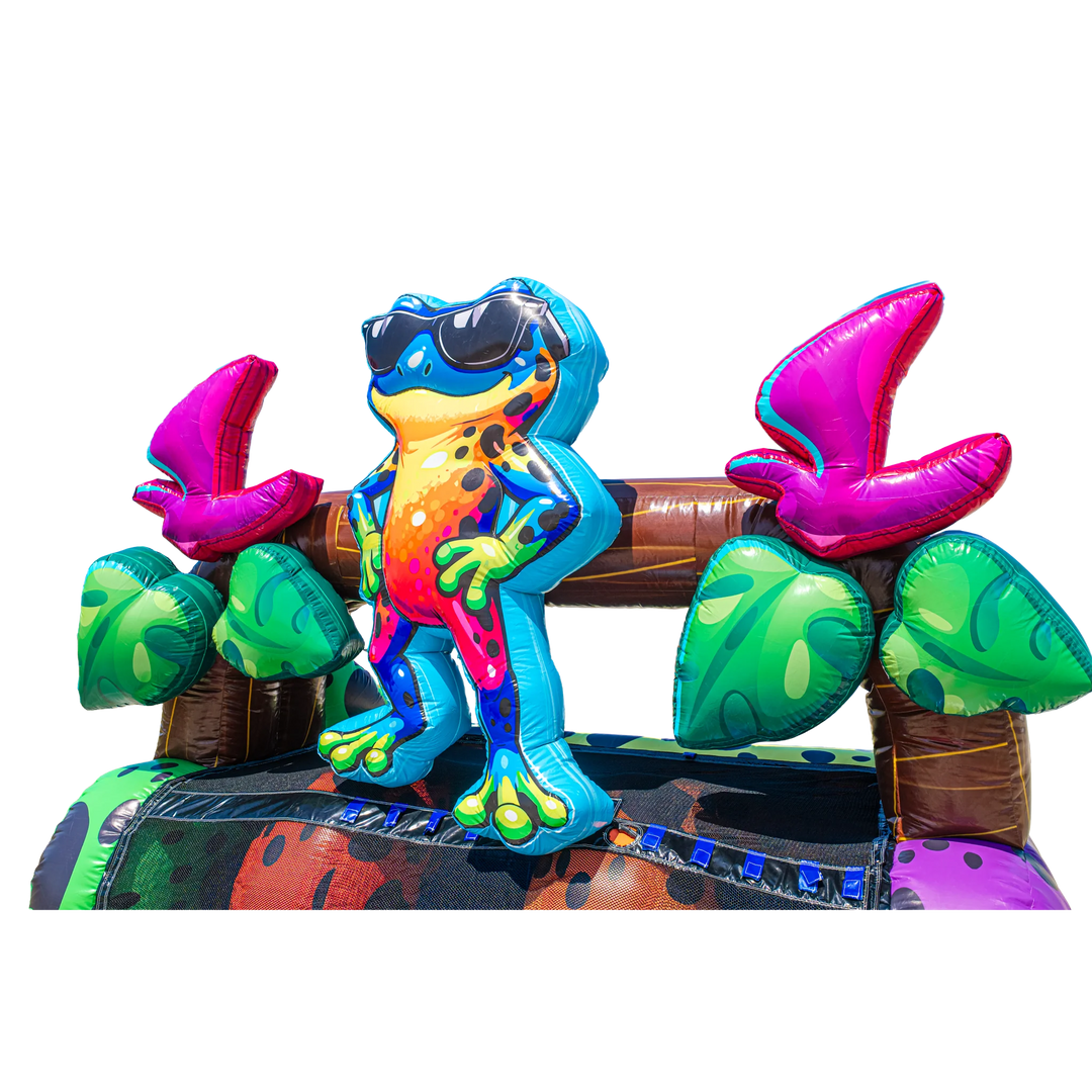 18FT Ribbit Rapids (Dart Frog) Dual Lane Slide