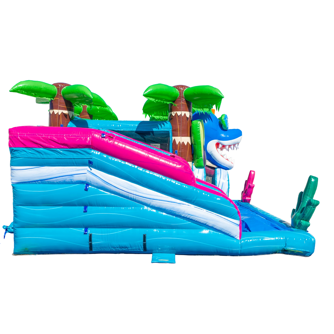 Baby Shark Mini Dual Combo