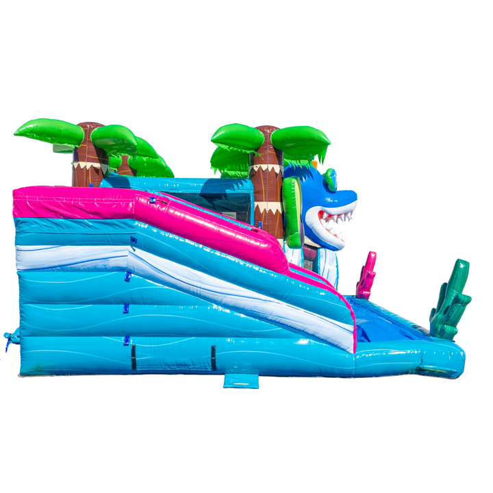 Baby Shark Mini Dual Combo