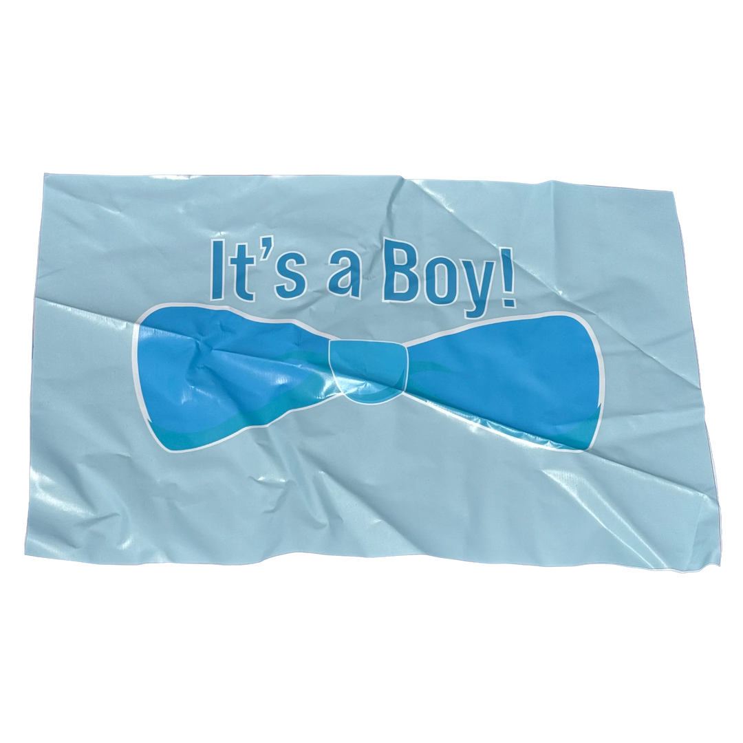 Gender Reveal Bounce House