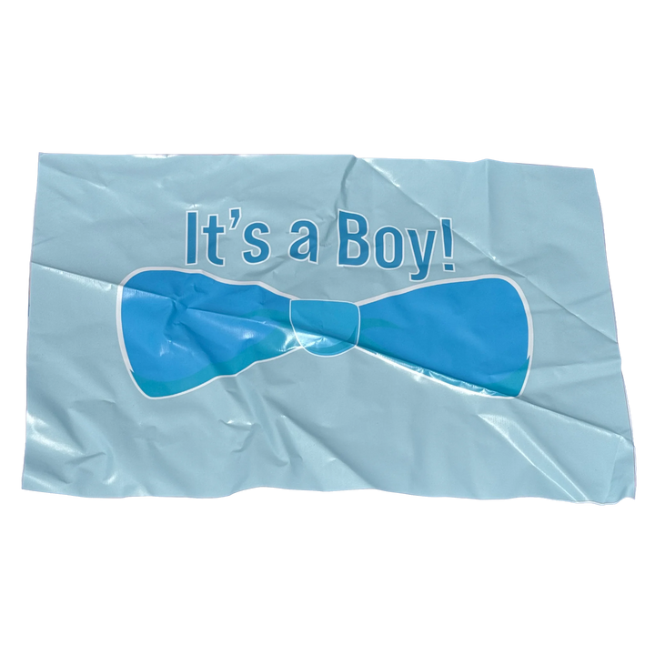Gender Reveal Bounce House