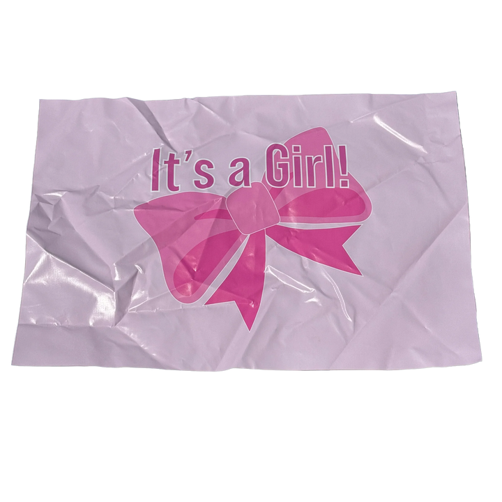 Gender Reveal Bounce House