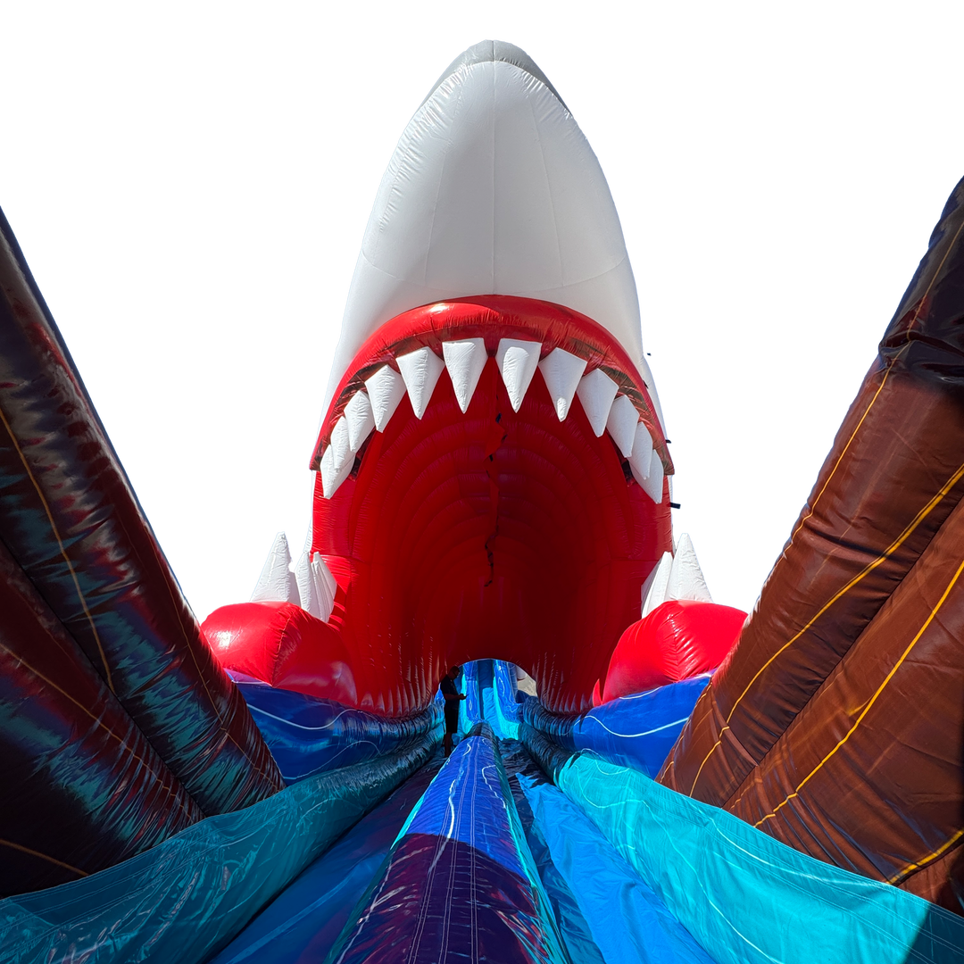 30FT Shark&
