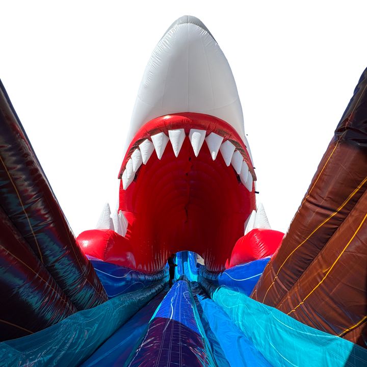 30FT Shark&
