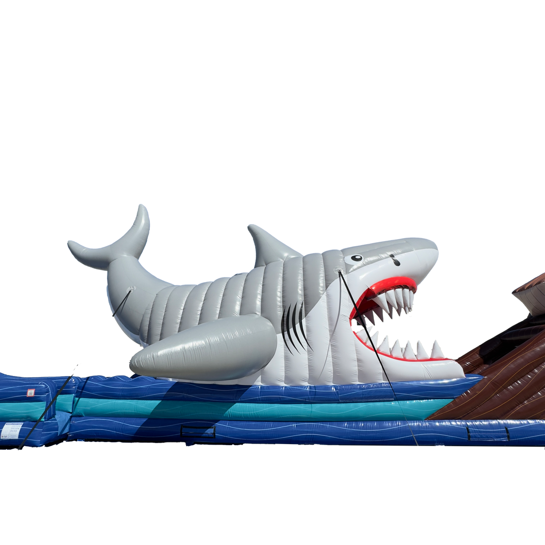 30FT Shark&
