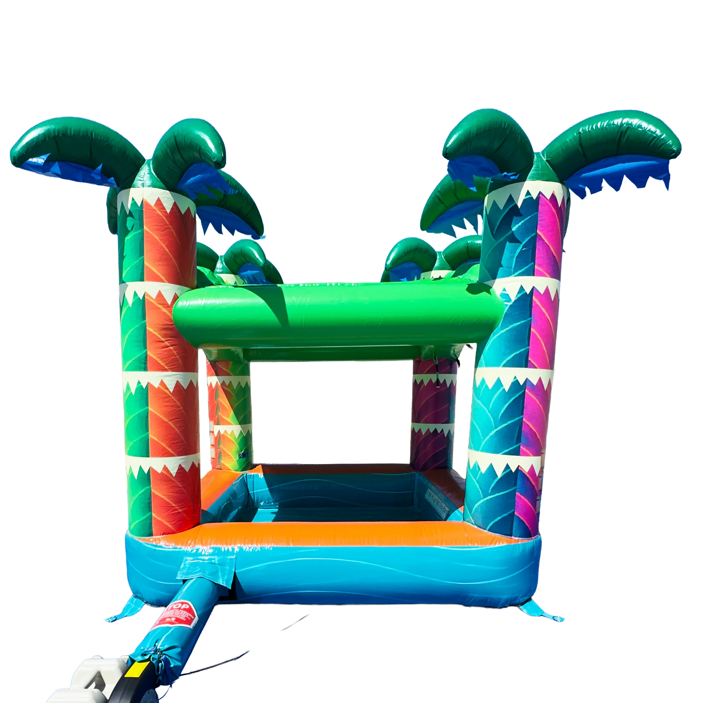 Electric Tropics Pool