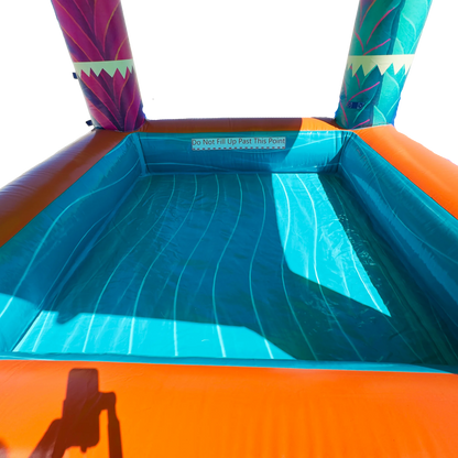 Electric Tropics Pool