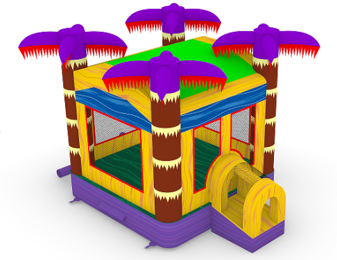 Lava Falls Bounce House