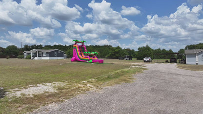 20FT Magenta Single Lane Slide